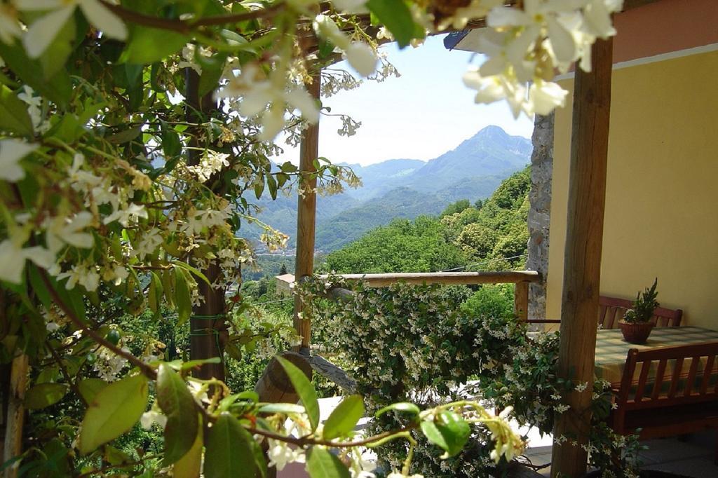 Villa Il Trebbio Barga Exterior foto