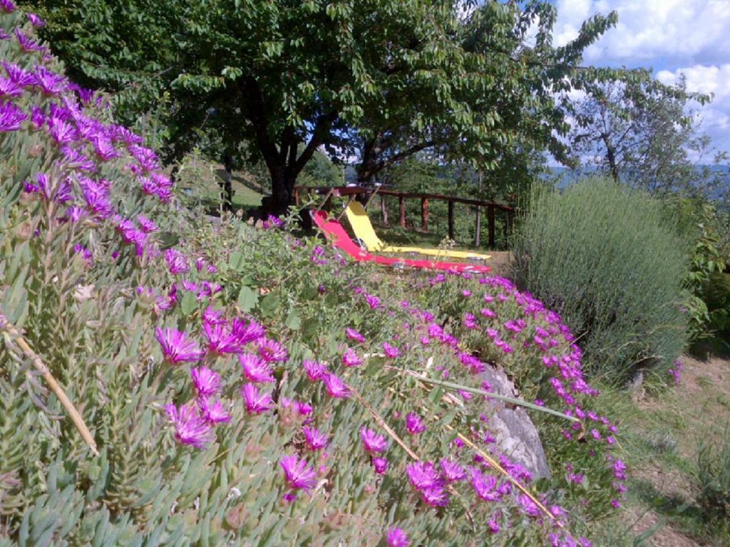 Villa Il Trebbio Barga Zimmer foto