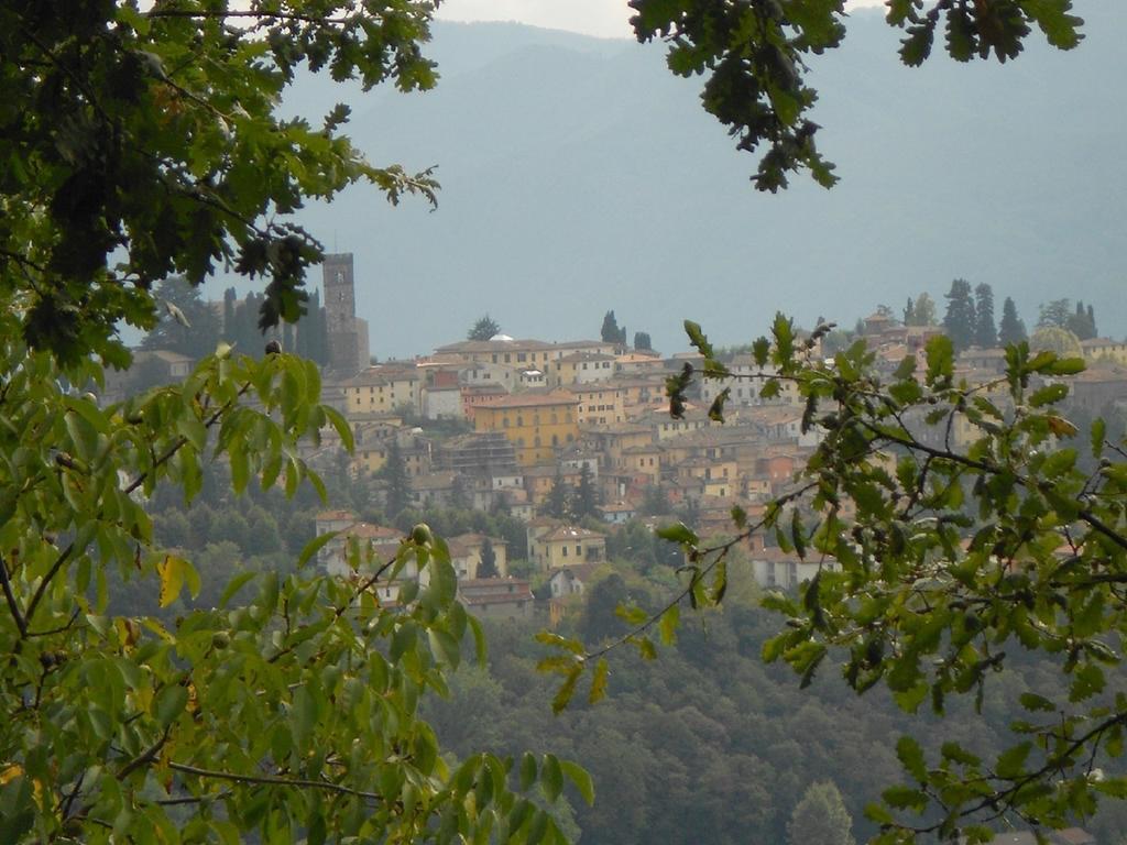 Villa Il Trebbio Barga Exterior foto